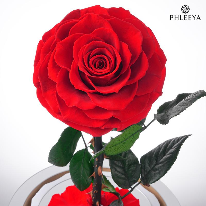 Hộp gương Hoàng tử bé hoa hồng vĩnh cửu quà Valentine (HK-83)