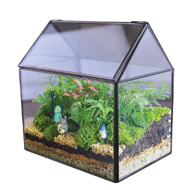 DG-5 Cây cỏ bụi vật nuôi sinh thái bảo vệ công viêc của bạn