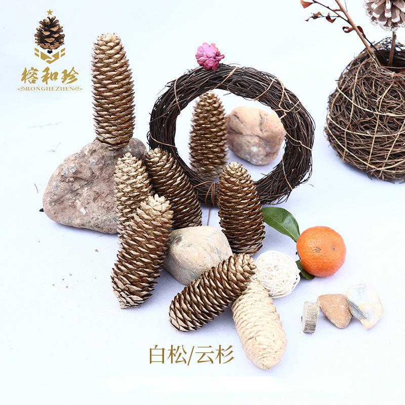 Trang trí Noel: Quả thông vàng, quả nhuộm và quả linh sam