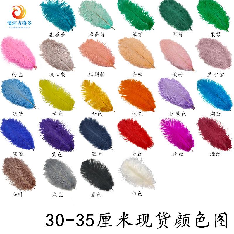 Lông đà điểu trắng từ 15-80cm, lý tưởng cho trang trí sân khấu và sự kiện. Cung cấp số lượng lớn cho đám cưới và DIY. Sẵn có hàng, mua bán buôn.