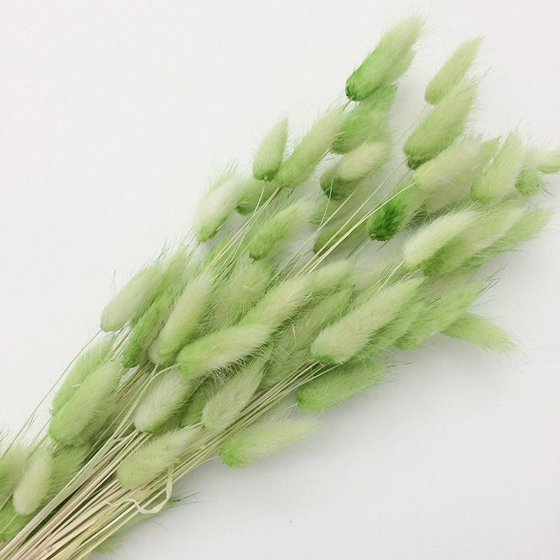 Xanh Lục