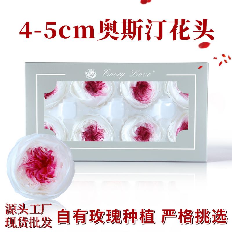 Hoa hồng Austin vĩnh cửu 8 bông DIY hoa khô quà tặng cao cấp (HK-4)