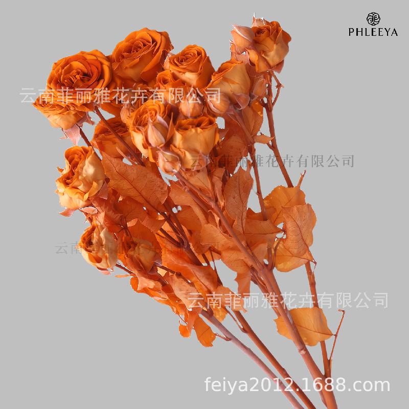 Hoa hồng chùm vĩnh cửu DIY hoa khô làm bó hoa cao cấp (HK-9)