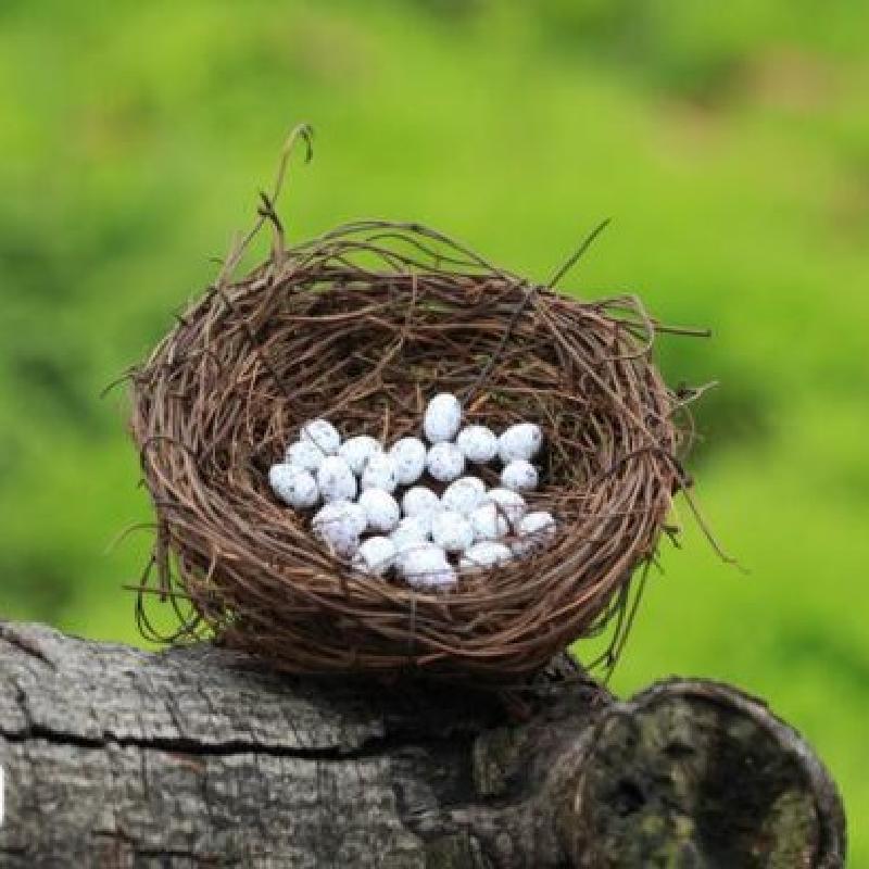 Tiểu cảnh tổ chim mây tre, trang trí chậu cây cảnh DIY (ZC-340)