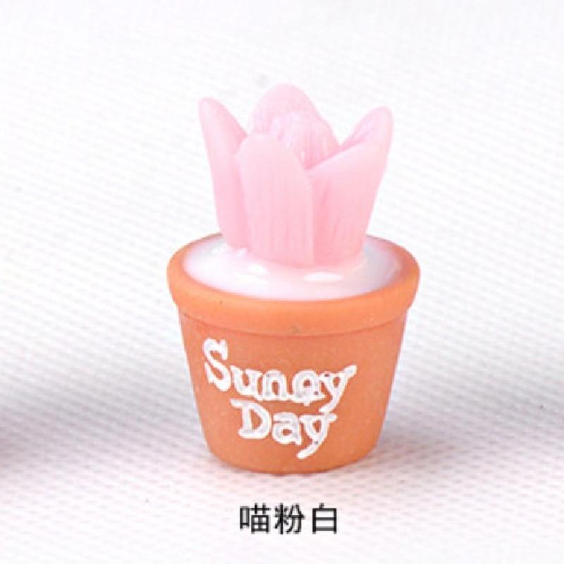 Tiểu cảnh đa dạng cây mọng nước, trang trí cây cảnh DIY (ZC-445)