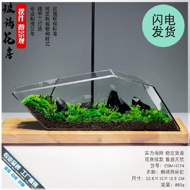 苔藓微景观玻璃花房器皿生态雨林缸造景流水植物墙花盆器鱼玻璃罩