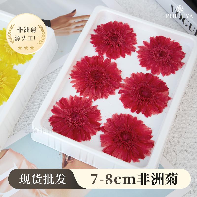Hoa hồng vĩnh cửu phối đồng tiền DIY bó hoa quà tặng cao cấp (HK-13)