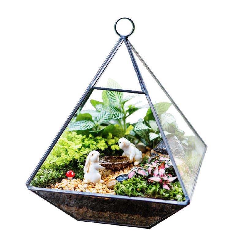 DG-19 Hộp giỏ kính hoa sống vĩnh viễn cho nội thất gia đình