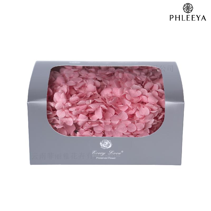 Cẩm tú cầu Anna vĩnh cửu 20g DIY hoa khô trang trí (HK-32)