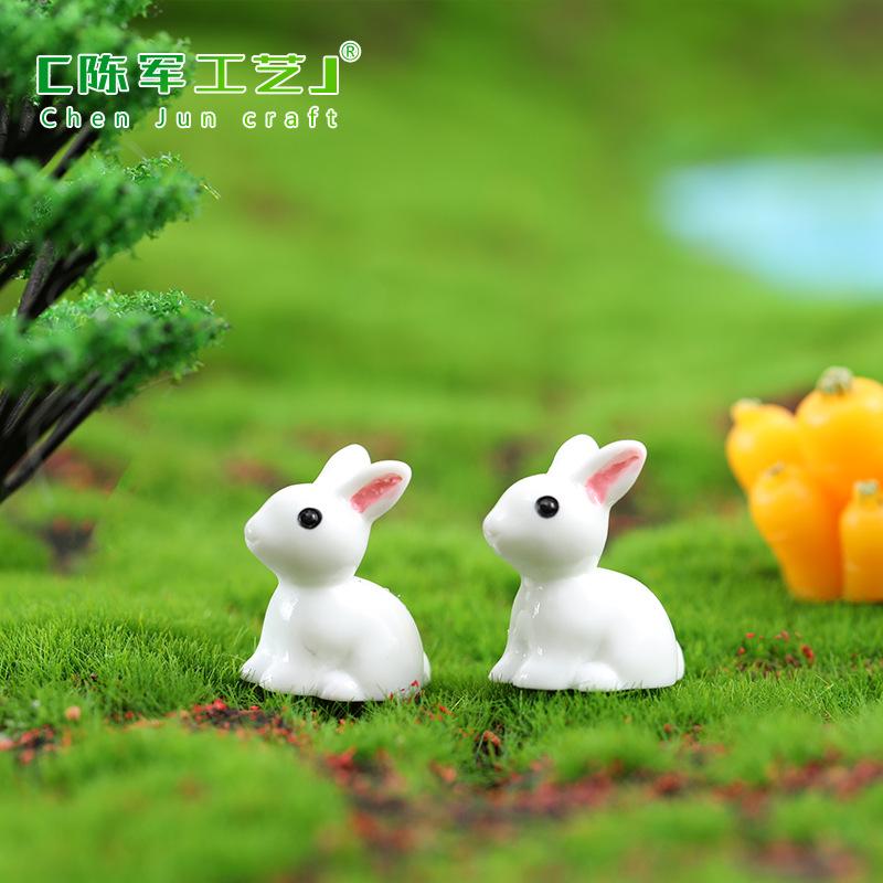 Thỏ trắng, Thỏ Mini, Thỏ Ngọc (ZC-647)