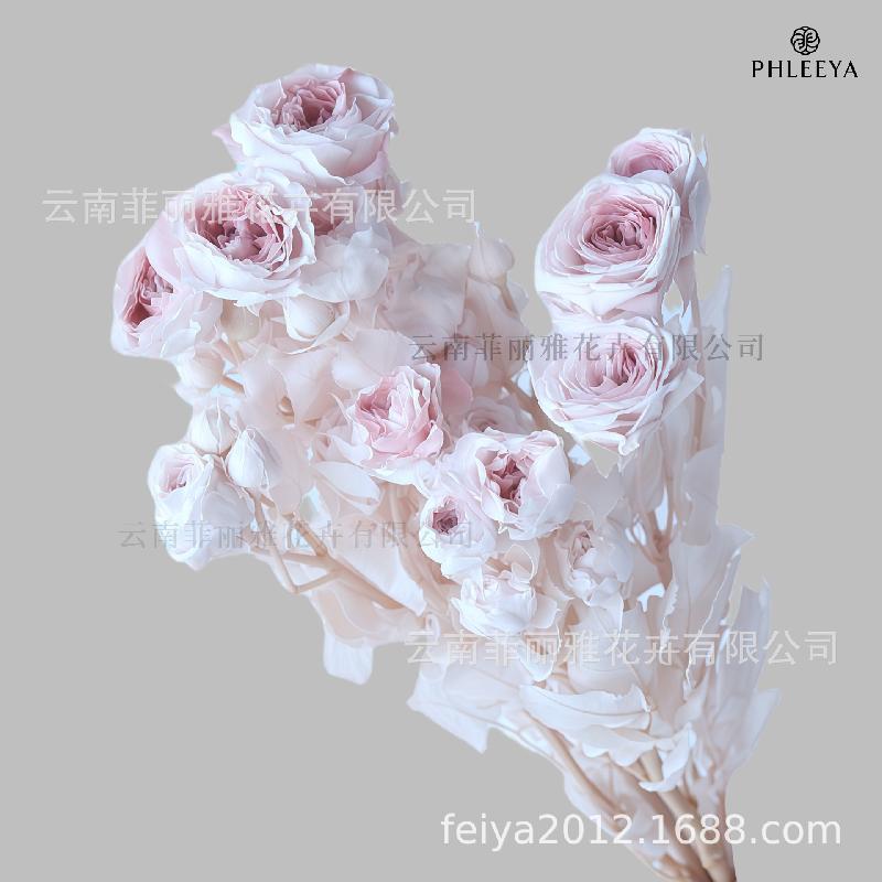 Hoa hồng chùm vĩnh cửu DIY hoa khô làm bó hoa cao cấp (HK-9)