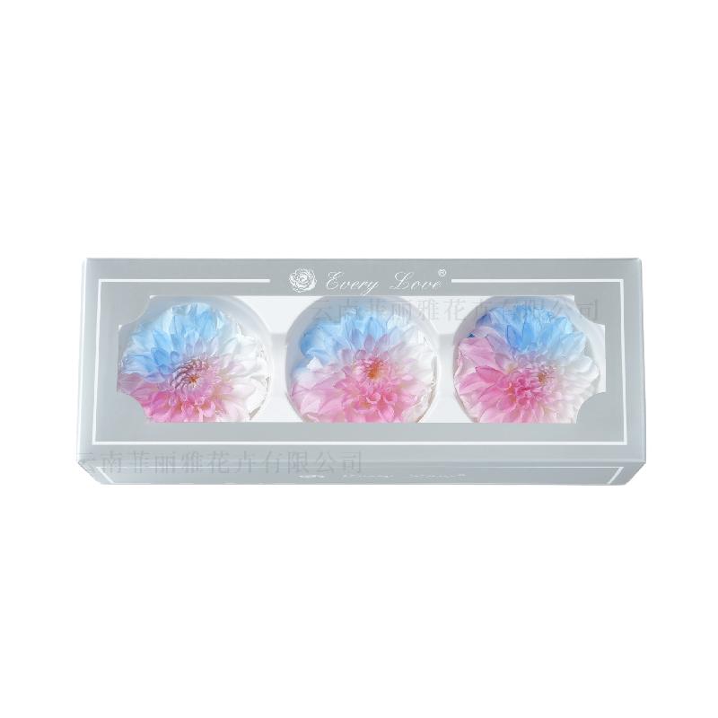 Hoa thược dược vĩnh cửu 7–8cm chuyển màu DIY hoa trang trí cưới (HK-21)