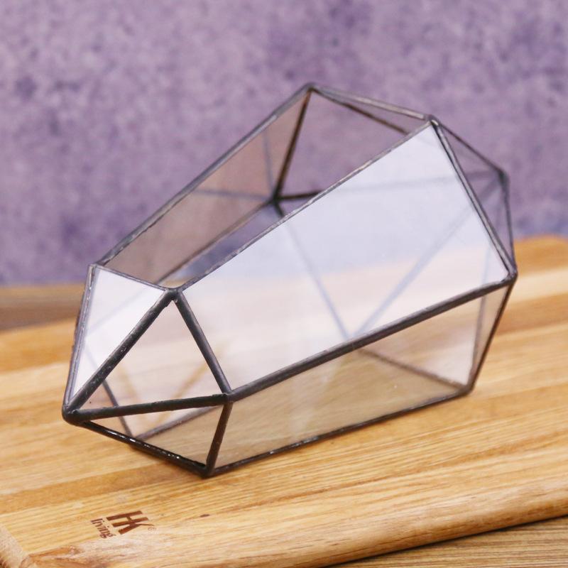 Chậu Đa Giác DG-86 Các cây cỏ đa thực vật độc đáo trong nhà thủy tinh, bình hoa nội thất sáng tạo, chậu cây nhà cửa, đồ trang trí xanh