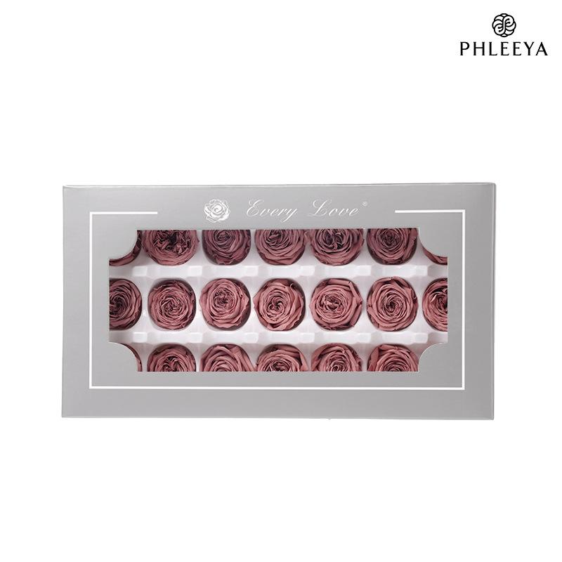Hoa hồng Austin vĩnh cửu 2–3cm Chocolate Bubble DIY hoa khô (HK-15)