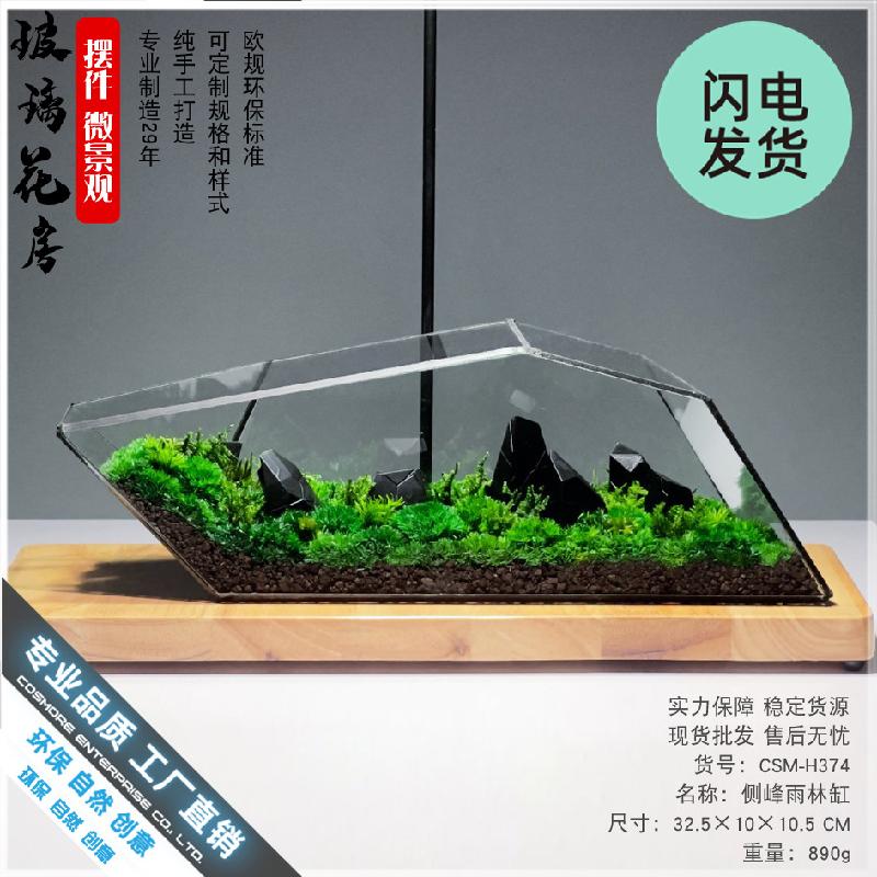 Bể Terrarium rêu cảnh, tường cây, bể cá kính (DG-64)