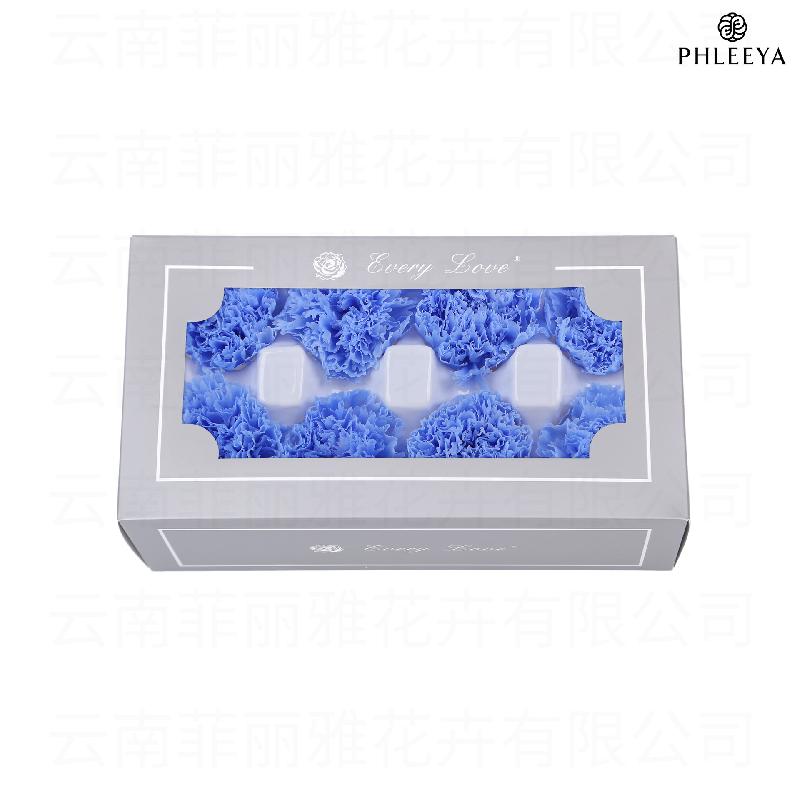 Hoa cẩm chướng vĩnh cửu 8 bông DIY quà Ngày của Mẹ (HK-30)