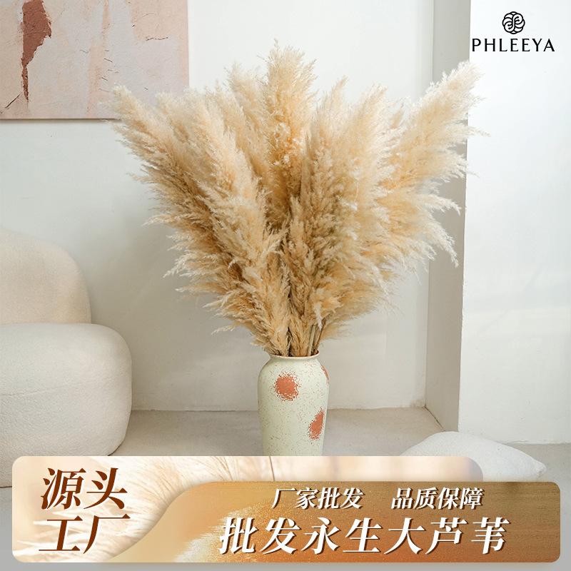 Cỏ lau Pampas khô bó hoa trang trí cưới phong cách châu Âu (HK-61)