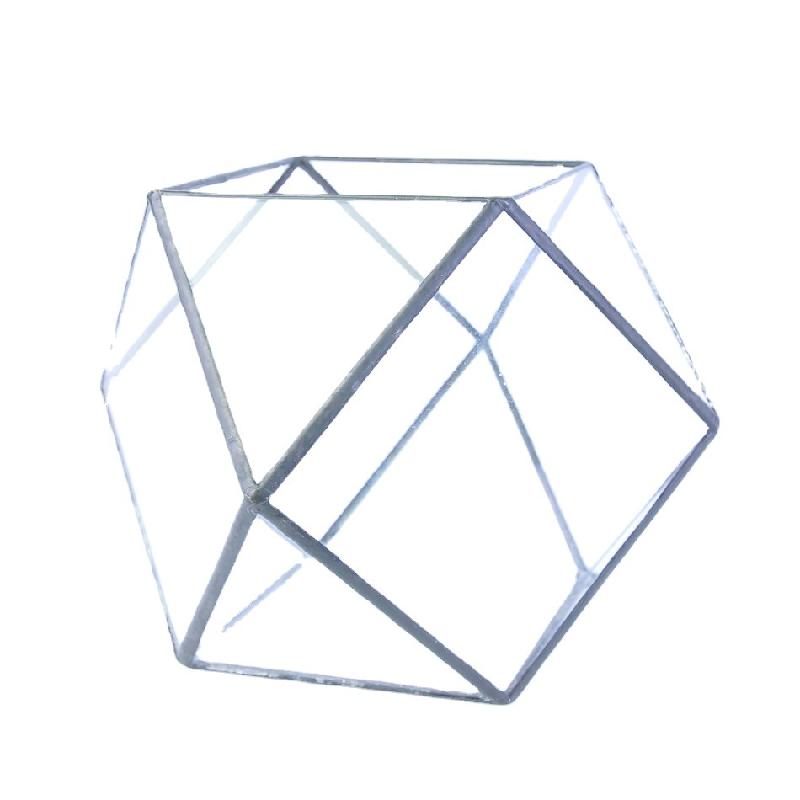 DG-254 Không gian vi sinh công nghệ sáng tạo cây cối, hoa chén hình học, kính thể thao, hoa thực vật bền vững, hộp hoa, thùng hoa, chai hoa