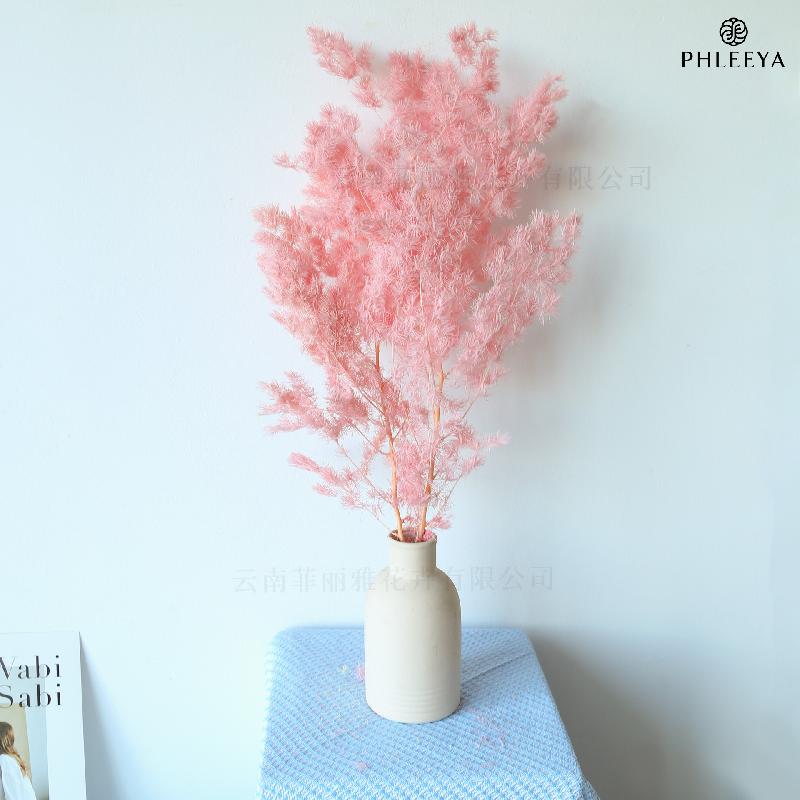 Lá tùng Bồng Lai vĩnh cửu DIY hoa khô cắm bình lồng kính (HK-43)