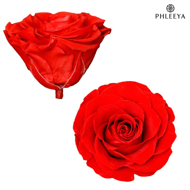 Hoa hồng vĩnh cửu hạng A DIY hộp quà Valentine (HK-145)