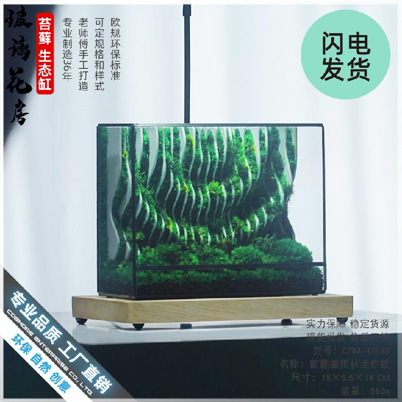 Bể kính rêu cảnh thủy sinh (DG-25)