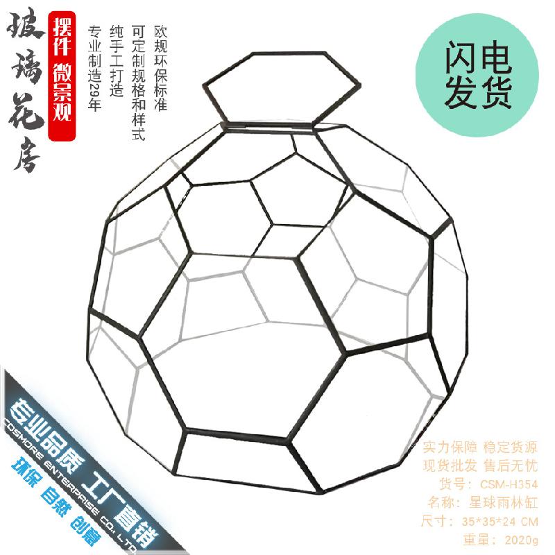 微景观雨林玻璃罩几何花房装饰摆件办公室造景生态瓶星球形花器皿