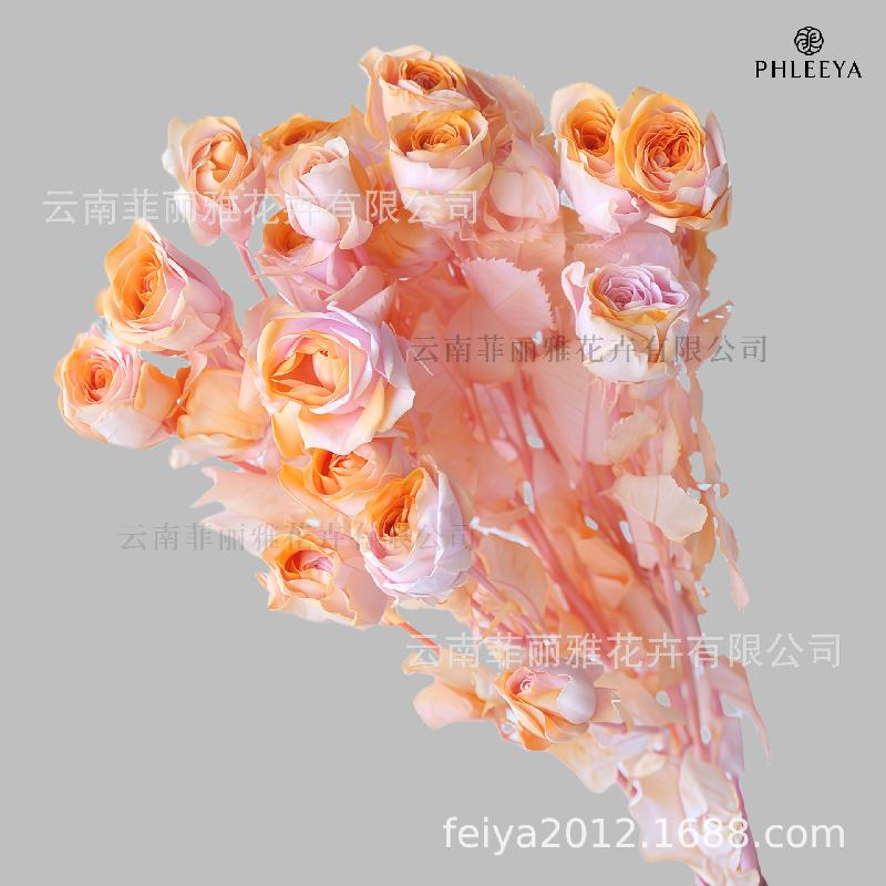 Hoa hồng chùm vĩnh cửu DIY hoa khô làm bó hoa cao cấp (HK-9)