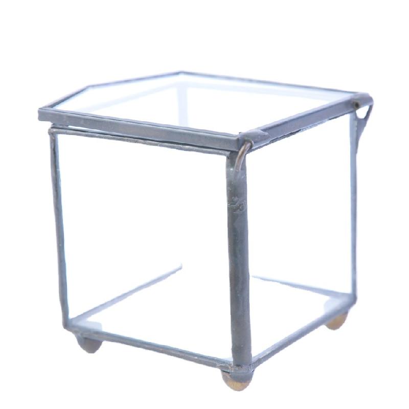 DG-237 Hộp trang sức nằm ngược cấu trúc, cây thực vật mộc mạc, cảnh quan nhỏ độc đáo, kính lớn bất quy tắc