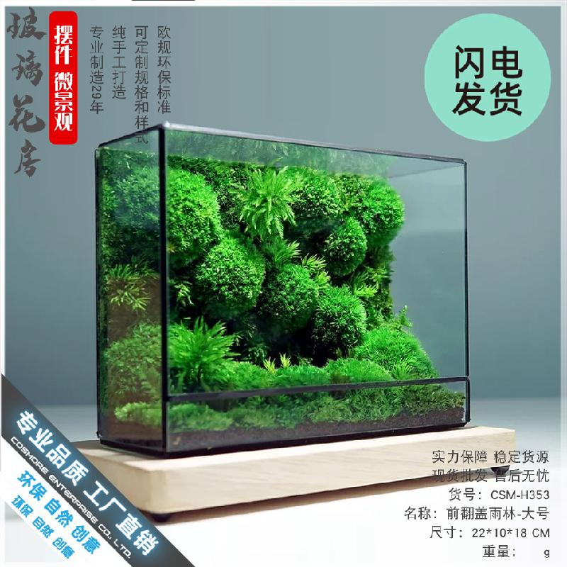 Bể rêu cảnh hệ sinh thái để bàn (DG-6)