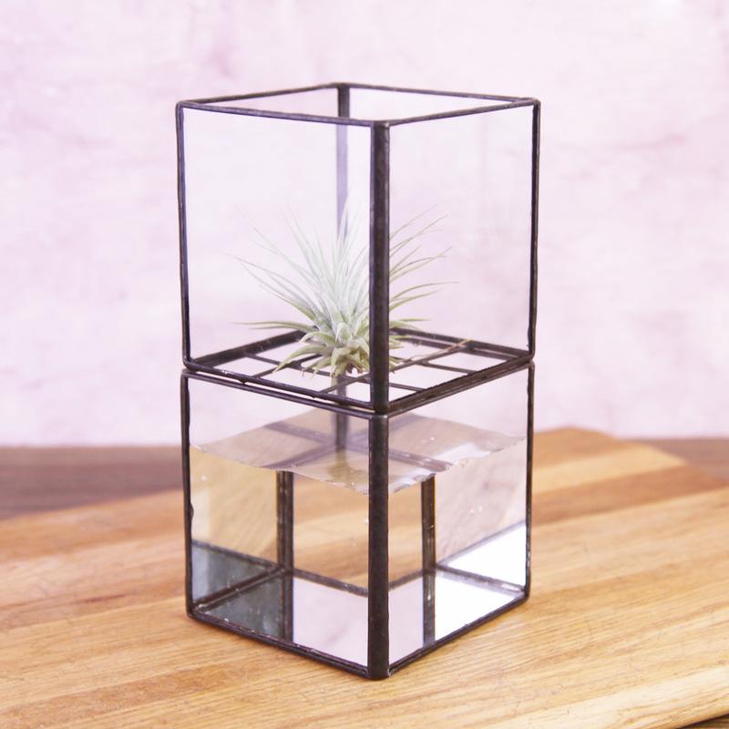 DG-72 Hộp cây phủ nước hai tầng với chai thủy tinh hiện đại đơn giản