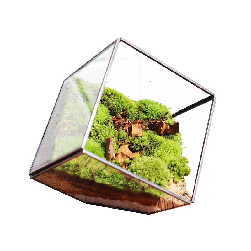 DG-91 Nhà máy Xiamen bán trực tiếp phòng kính chữ nhật lớn, thiết kế sáng tạo, hoa tái sinh vĩnh cửu, thảm thực vật nhỏ, cảnh quan đa thực vật và chén hoa đa thực vật