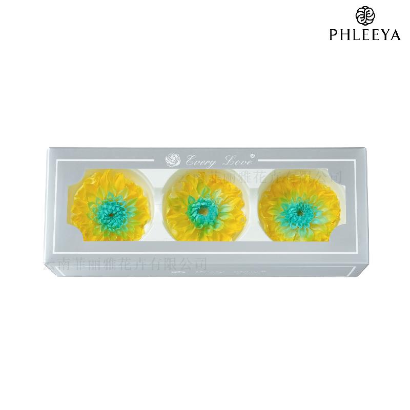 Hoa thược dược vĩnh cửu 7–8cm chuyển màu DIY hoa trang trí cưới (HK-21)