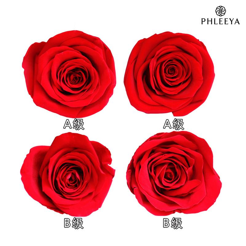 Hoa hồng vĩnh cửu 5–6cm 6 bông DIY bó hoa hoa khô cao cấp (HK-16)