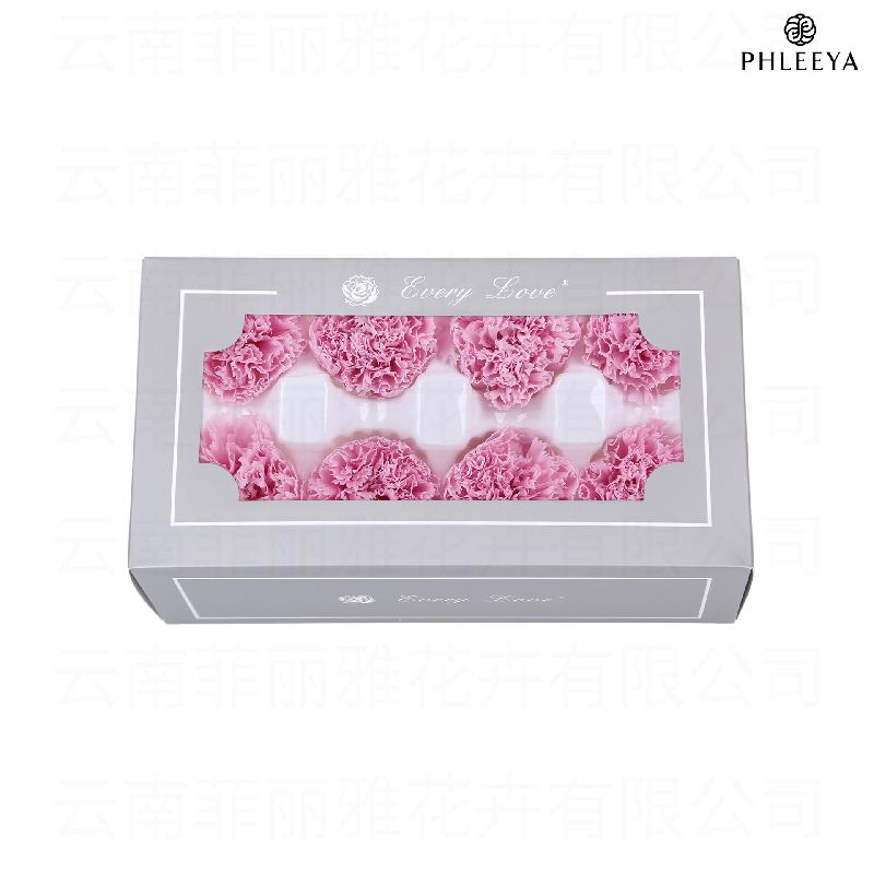 Hoa cẩm chướng vĩnh cửu 8 bông DIY quà Ngày của Mẹ (HK-30)