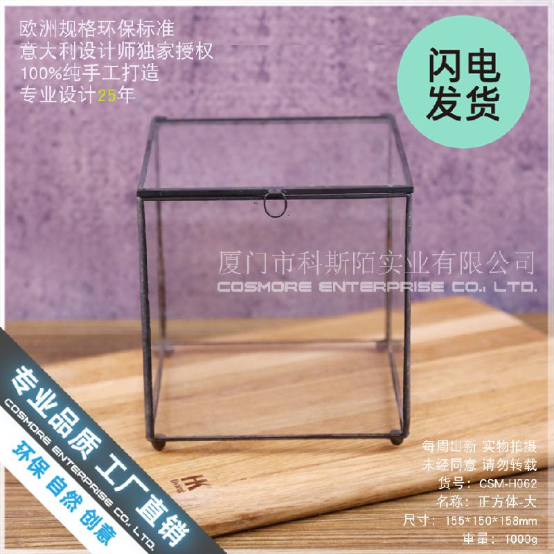 Nhà kính vuông lớn Terrarium (DG-41)