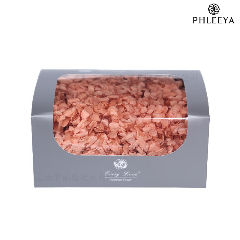 Cẩm tú cầu Anna vĩnh cửu 20g DIY hoa khô trang trí (HK-32)