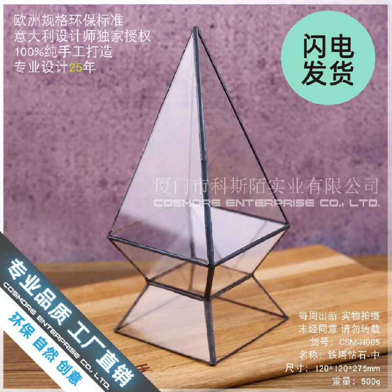 Bình sinh thái rêu cảnh DIY để bàn (DG-198)