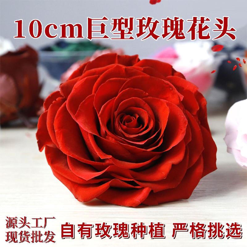 Hoa hồng vĩnh cửu 9–10cm bông lớn DIY hộp quà (HK-59)
