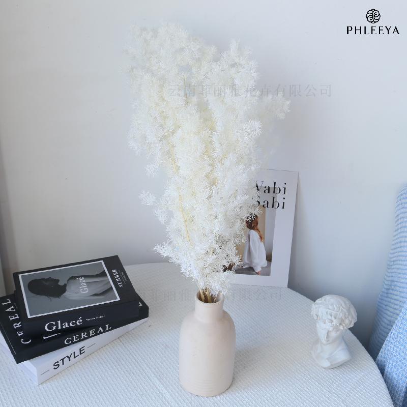 Lá tùng Bồng Lai vĩnh cửu DIY hoa khô cắm bình lồng kính (HK-43)