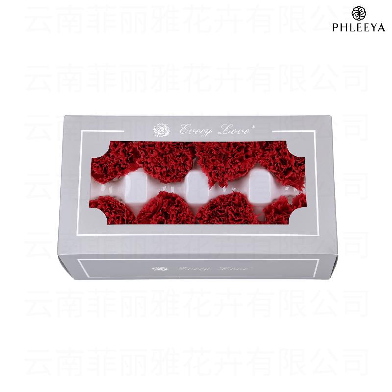 Hoa cẩm chướng vĩnh cửu 8 bông DIY quà Ngày của Mẹ (HK-30)
