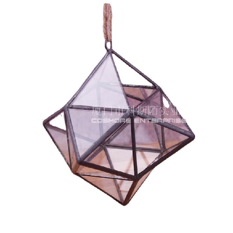 DG-229 Lọ hoa từ thủy tinh có 6 mặt cạnh, cây hoa sống đời, thảo mộc, cảnh quan nhỏ, thực vật sinh học trong chai