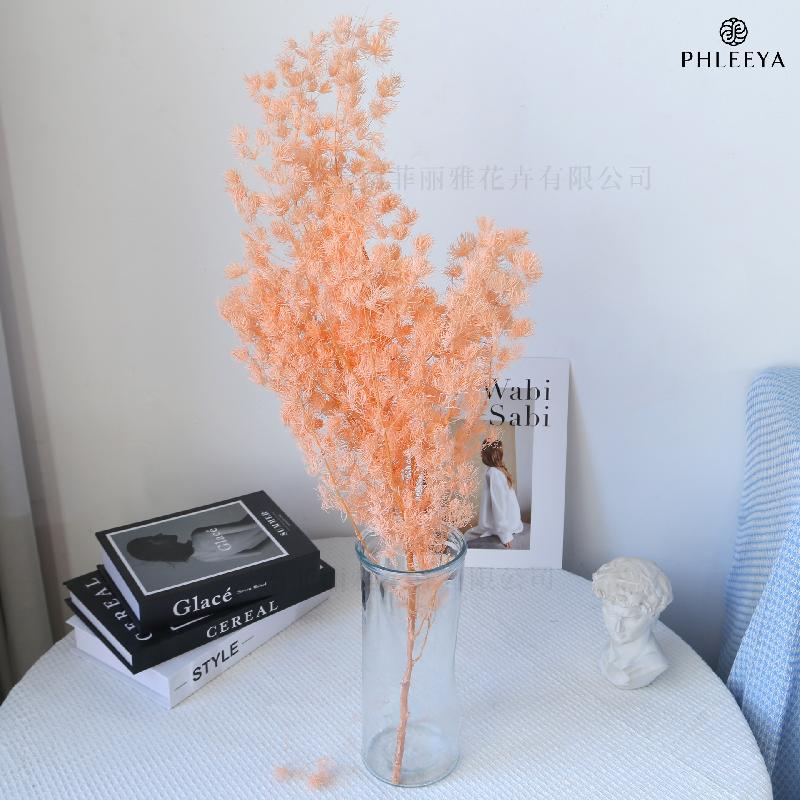 Lá tùng Bồng Lai vĩnh cửu DIY hoa khô cắm bình lồng kính (HK-43)