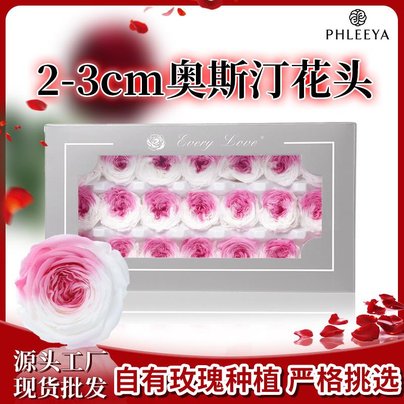 Hoa hồng Austin vĩnh cửu 2–3cm Chocolate Bubble DIY hoa khô (HK-15)
