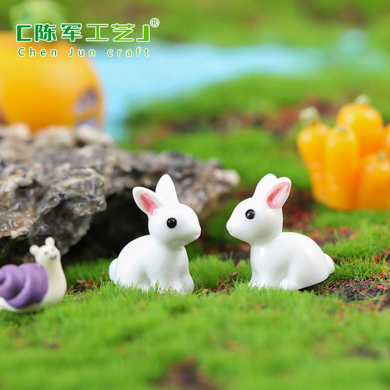 Thỏ trắng, Thỏ Mini, Thỏ Ngọc (ZC-647)