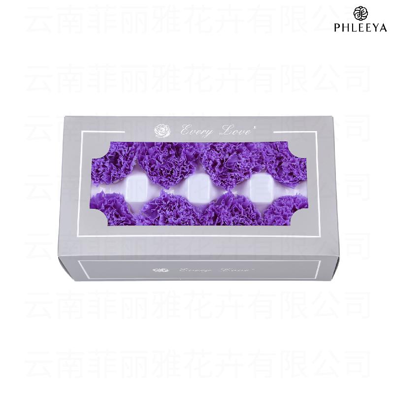 Hoa cẩm chướng vĩnh cửu 8 bông DIY quà Ngày của Mẹ (HK-30)