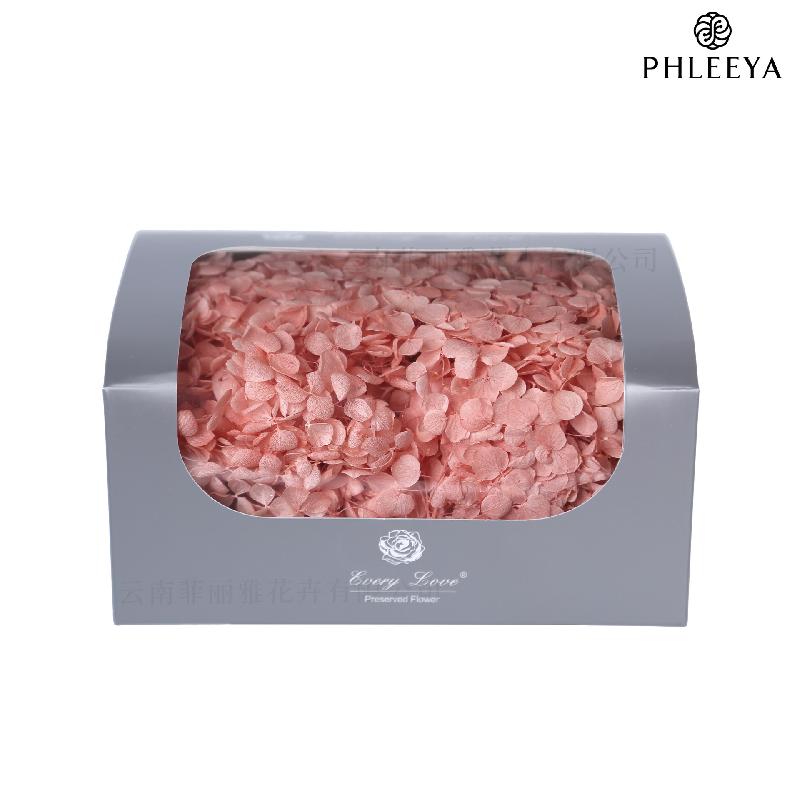 Cẩm tú cầu Anna vĩnh cửu 20g DIY hoa khô trang trí (HK-32)