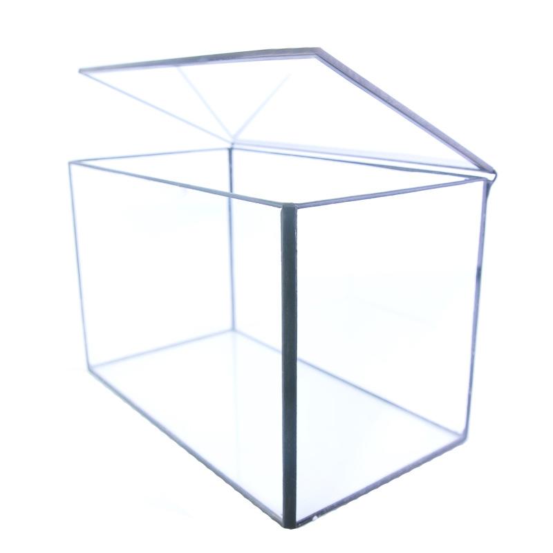 DG-15 Hộp sinh thái táo xiên, phòng kính không định hình, sáng tạo cảnh quan cây cỏ nhỏ