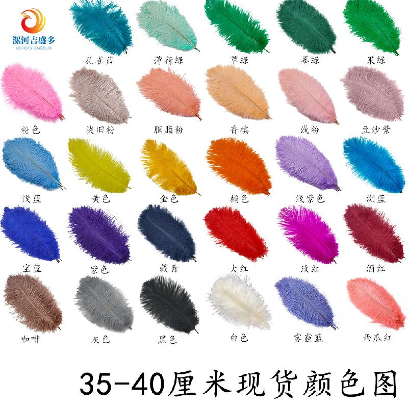 Lông đà điểu trắng từ 15-80cm, lý tưởng cho trang trí sân khấu và sự kiện. Cung cấp số lượng lớn cho đám cưới và DIY. Sẵn có hàng, mua bán buôn.