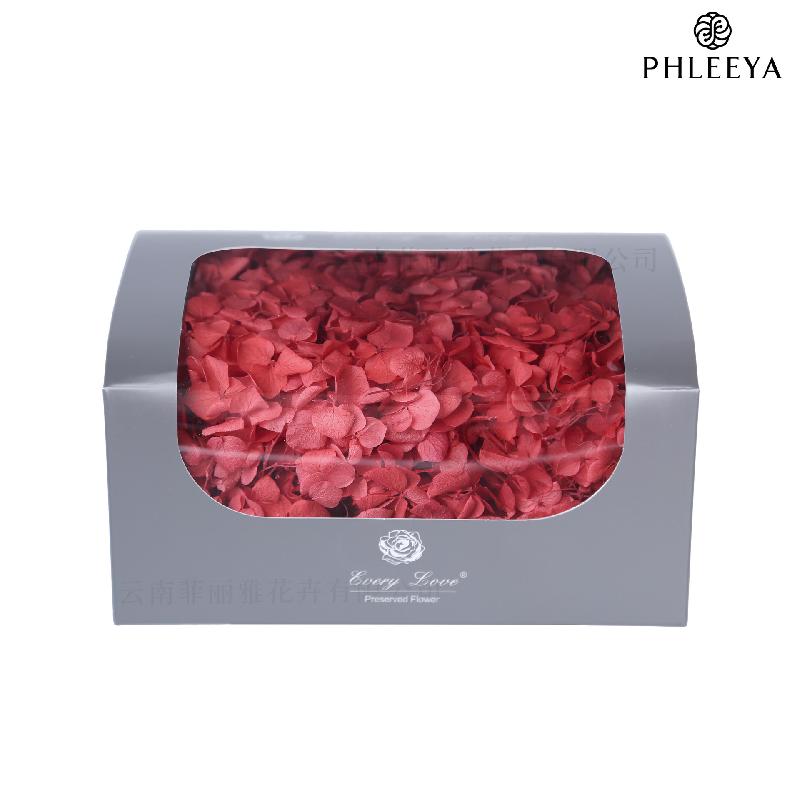 Cẩm tú cầu Anna vĩnh cửu 20g DIY hoa khô trang trí (HK-32)
