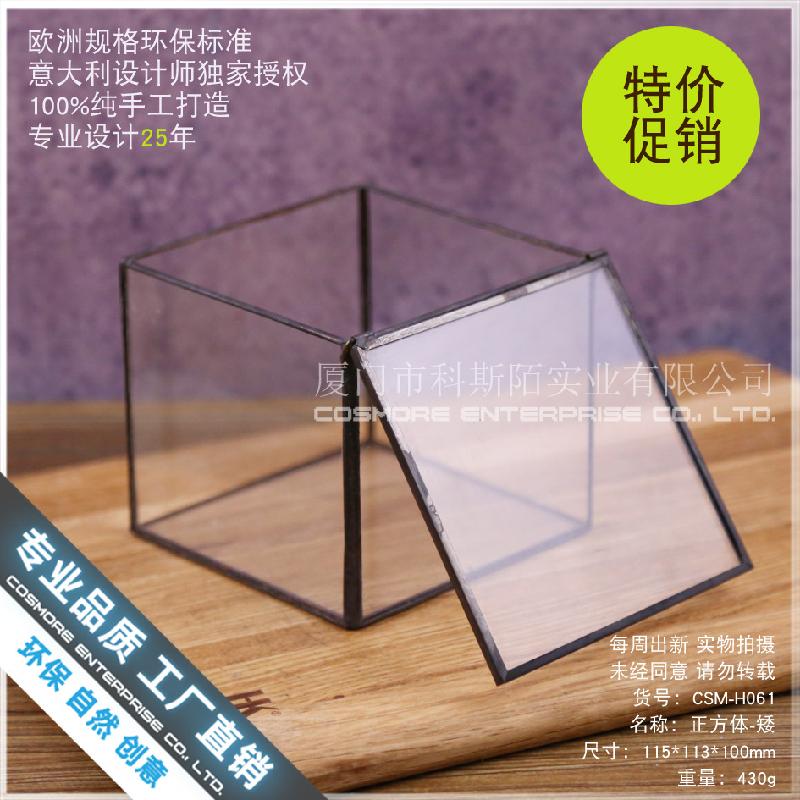 Hộp kính rêu cảnh, bình sinh thái rừng mini (DG-63)